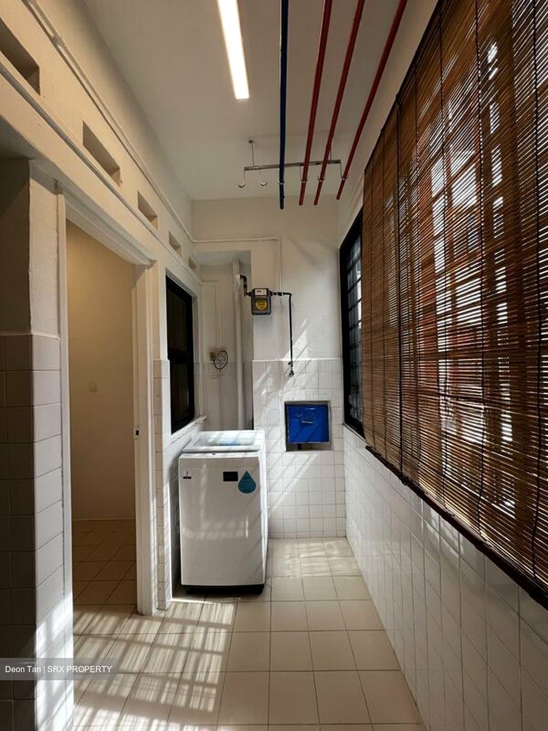 Botanic Gardens View (D10), Apartment #566128311